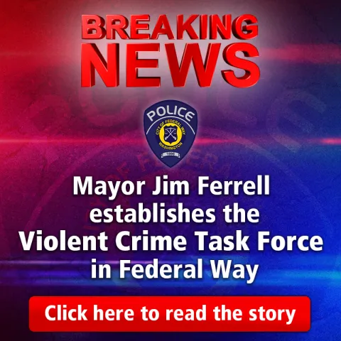 Breaking News Article Violent Crime Task Force 